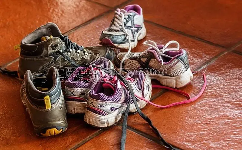 米兰官方手机app网站百家号** 男士 2024 年秋款椰子鞋品牌指南：时尚
与舒适的完美结合**