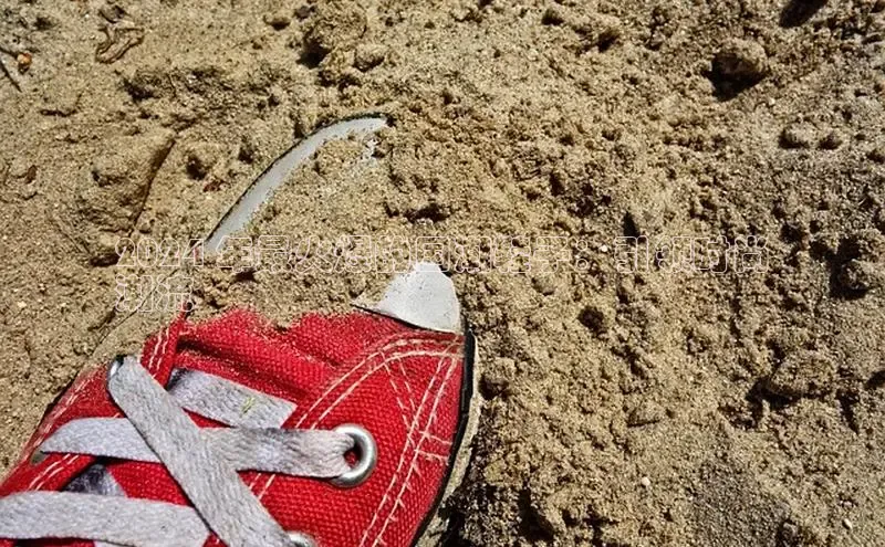 米兰全站登录入口颐驰 062024 年最火爆的国潮鞋子：引领时尚
潮流