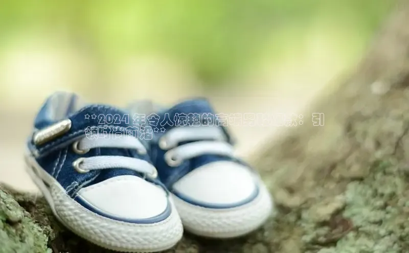 米兰体育58同城**2024 年令人惊艳的高端男鞋爆款：引
领时尚前沿**