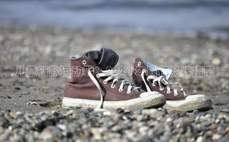 米兰网页版在线登录极氪智能科技儿童新款运动鞋：2024 年最佳品牌指南