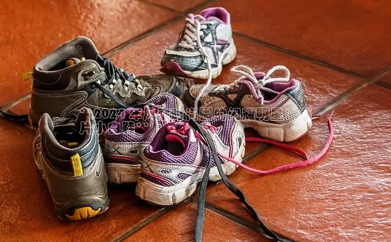 米兰app官网登录入口APP下载百度手机助手**2024 年风靡时尚圈的闪耀明星：亮
片小白鞋**