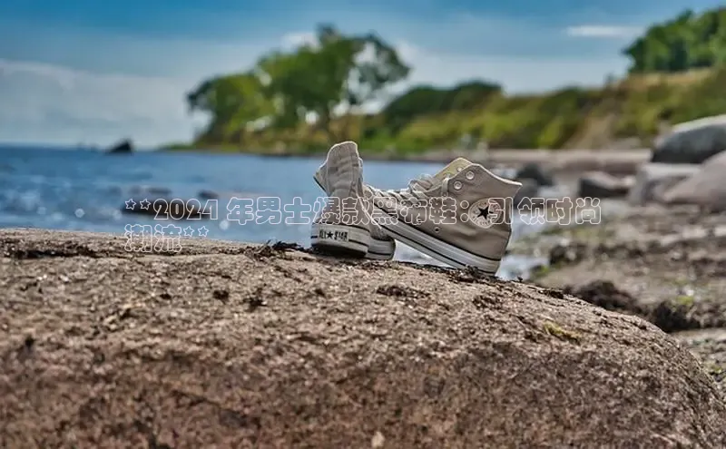 米兰体育官方APP下载普信公司**2024 年男士爆款黑布鞋：引领时尚
潮流**