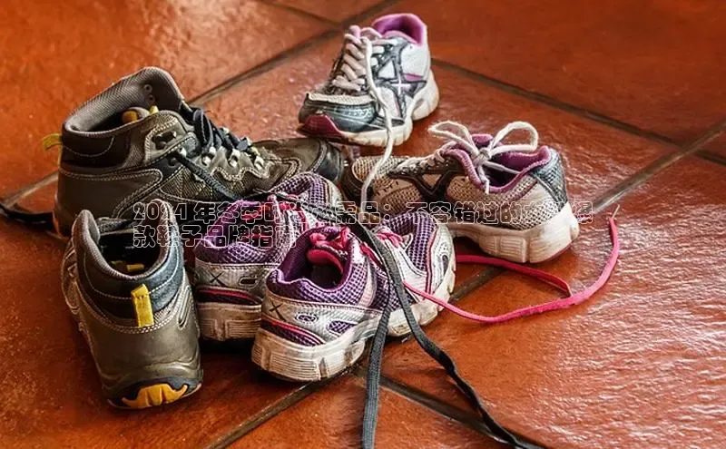 米兰官方手机app网站阿里尔公司2024 年冬季时尚必需品：不容错过的女款爆
款鞋子品牌指南