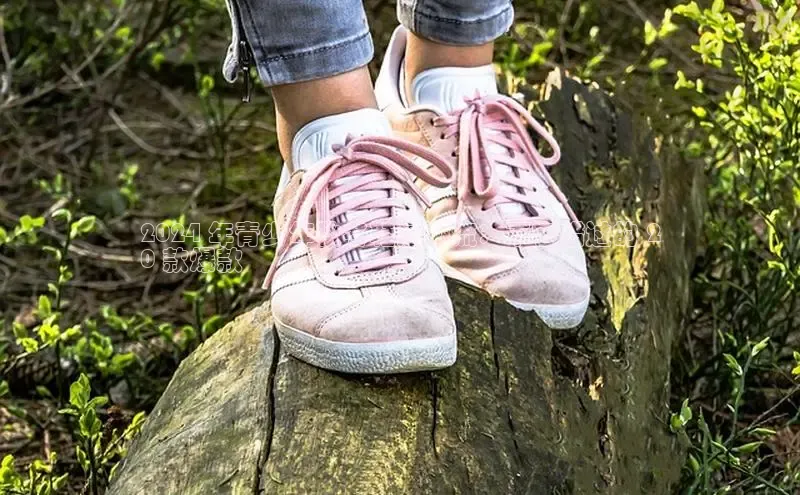 米兰·全站app登录app梯哥哥科技2024 年青少年秋冬鞋履潮流：不容错过的 2
0 款爆款