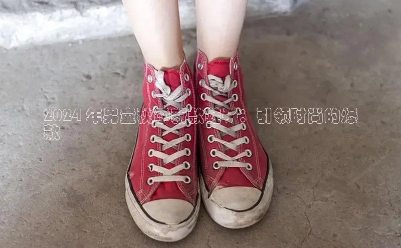 米兰全站登录入口汉得信息2024 年男童秋季新款鞋子：引领时尚的爆
款