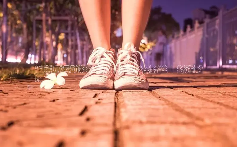 米兰官方手机app网站阿里尔公司**熊爪运动鞋：释放你的内在野性 | 舒适耐
用**