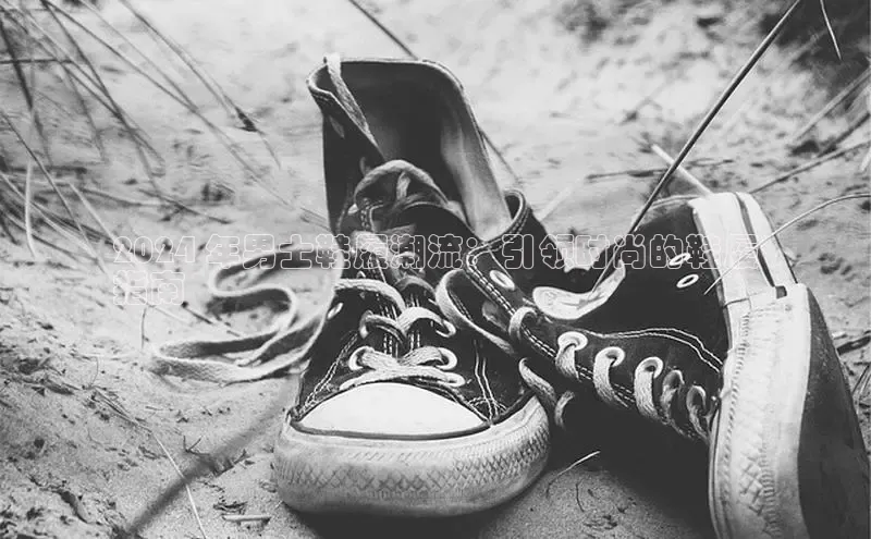 米兰官网首页登录入口百度网盘2024 年男士鞋履潮流：引领时尚的鞋履
指南