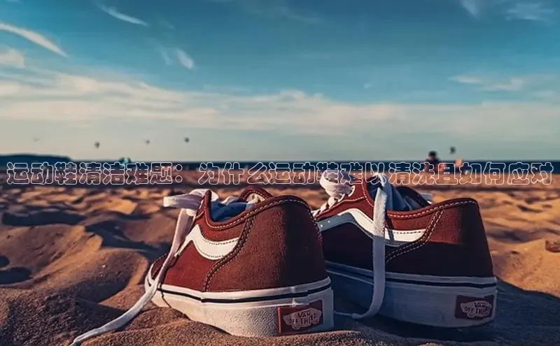 米兰·全站APP登录入口小红书运动鞋清洁难题：为什么运动鞋难以清洗且如何应对