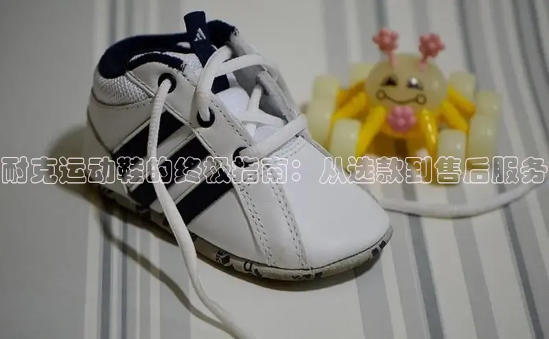 米兰app官网下载最新版百度教育耐克运动鞋的终极指南：从选款到售后服务