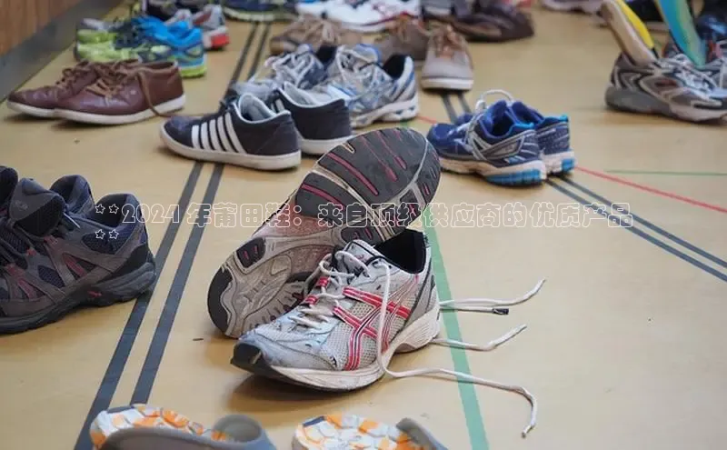 米兰在线网页版官方入口雷柏科技**2024 年莆田鞋：来自顶级供应商的优质产品
**