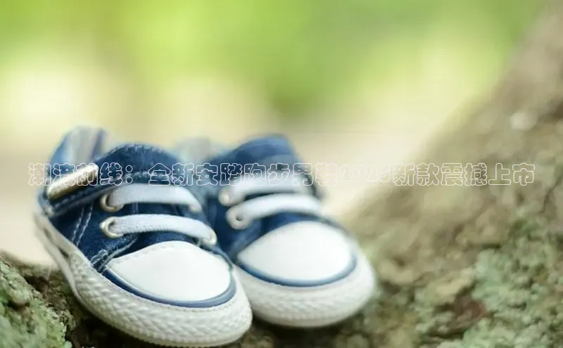 米兰·全站APP登录入口百度众测潮流前线：全新安踏跑步男鞋2025新款震撼上市