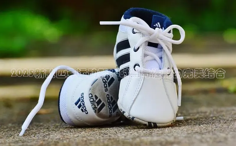 米兰app·体育登录入口