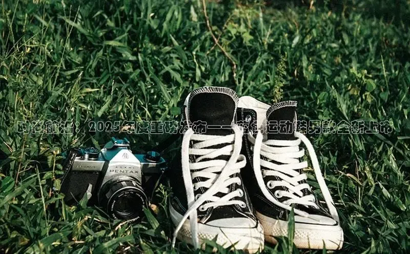 米兰·全站APP登录入口