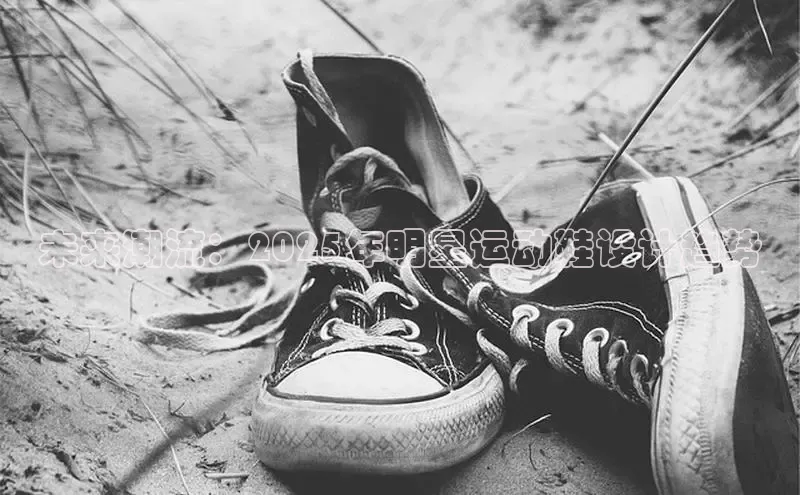 未来潮流：2025年明星运动鞋设计趋势